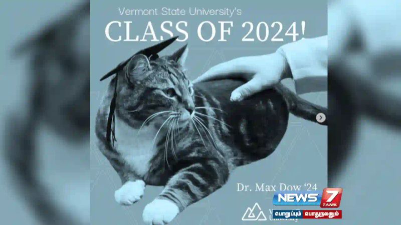 Doktor untuk Kucing – Universitas Amerika atas perlakuan ramahnya terhadap mahasiswa.  menghormati!