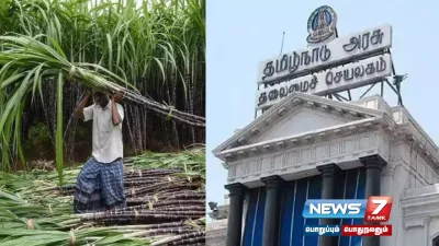 கரும்பு விவசாயிகளுக்கு இனிப்பான செய்தி    சிறப்பு ஊக்கத்தொகை வழங்க ரூ 247 கோடி ஒதுக்கி  tngovt உத்தரவு 