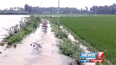 மாயனூர் அருகே முறையான வடிகால் இல்லாததால் 100 ஏக்கருக்கும் மேற்பட்ட நெற்பயிர்கள் நீரில் மூழ்கி சேதம் 