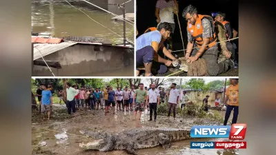  gujaratfloods   குஜராத்தில் குடியிருப்பு பகுதிகளில் உலாவரும் முதலைகள் 