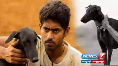  பரியேறும் பெருமாள்  பட புகழ் கருப்பி  dog உயிரிழப்பு   அதிர்ச்சியில் ரசிகர்கள் 