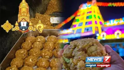  tirupati laddoo வில் மீன் எண்ணெய்  மாமிச கொழுப்பு கலப்பு உறுதி    ஆய்வில் அதிர்ச்சி தகவல் 