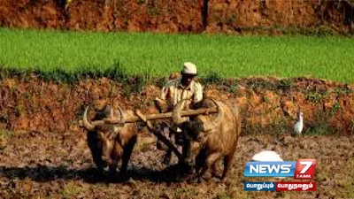 காகித ஆலை வேண்டுமா  உணவு வேண்டுமா   நீதிபதிகள் வேதனை 