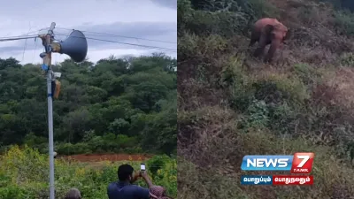 குடியிருப்புப் பகுதிக்குள் நுழையும் வனவிலங்குகளை  ai தொழில்நுட்பத்துடன் விரட்டும் மலை கிராம மக்கள் 