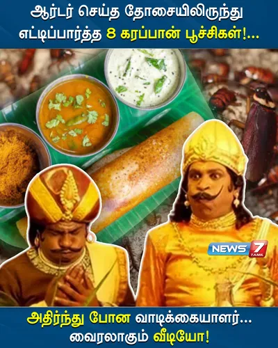 ஆர்டர் செய்த தோசையிலிருந்து எட்டிப்பார்த்த 8 கரப்பான் பூச்சிகள்   அதிர்ந்து போன வாடிக்கையாளர்   வைரலாகும் அதிர்ச்சி  வீடியோ 