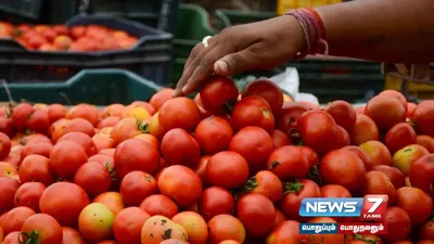 சென்னை கோயம்பேடு சந்தையில் தக்காளி விலை குறைவு 