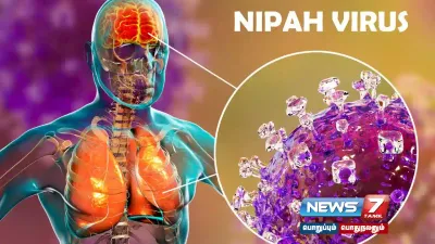  nipah முன்னெச்சரிக்கை   தமிழ்நாடு அரசு அதிரடி உத்தரவு 