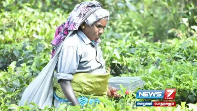 மாஞ்சோலை தேயிலை தோட்ட விவகாரம்   கஞ்சி தொட்டியை திறந்து போராட்டம் 