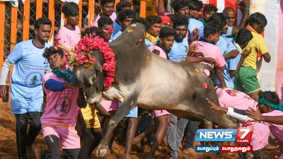 புகழ்பெற்ற அவனியாபுரம்  பாலமேடு  அலங்காநல்லூர் ஜல்லிகட்டிற்கான தேதிகள் அறிவிப்பு 